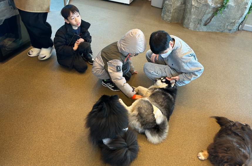 �����Ÿ�� 2�� Ȱ��